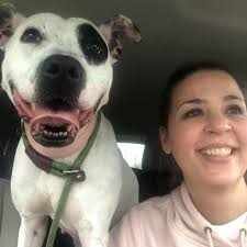 Update, Happy Wednesday!! Wow!! The rain!! We made it to the Lewis County  Animal Shelter just before closing time!! Saw all the cats. So many  adorable ones! Heck! They were ALL ADORABLE!!