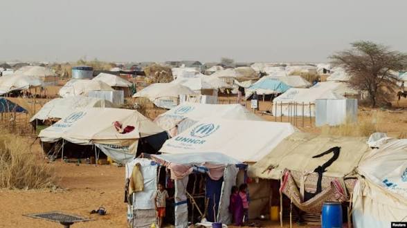 Meharistas on the Mali border: Mauritania's age-old strategy against insurgents