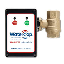 Houseplants can be a great way to brighten up a space. Watercop Watercop Leak Stop Watercop
