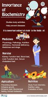 Importance Of Biochemistry Biochemie Chemie Mikrobiologie