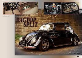 Image result for Medium Brown 1950 Beetle