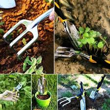We did not find results for: Gardening Tools Online India Spade Trowel Cultivator Pruner And Gloves
