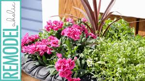 We did not find results for: Easy Tips For Planting Beautiful Outdoor Flower Pots Youtube