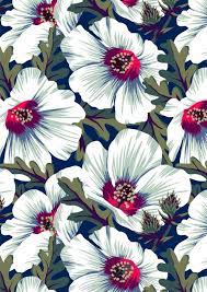 Nz Hibiscus Floral Print On Behance Pattern Fabric Flowers White Art De La Photographie Motif Floral Imprimes Floraux