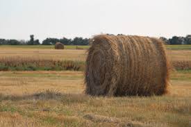 Easier handling and transportation is the lead cause of the popularity of round bales. Bales Of Hay How Much Does A Bale Of Hay Cost