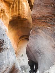 Canyoneering Lower Echo Canyon - Zion Main Canyon - Road Trip Ryan
