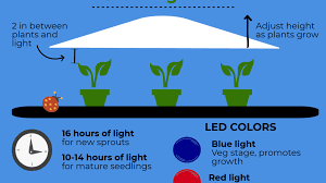 We hope this scientific and evidence based study helps clarify the effect of different grow light spectrum on plant growth and yield. Using A Grow Light To Start Seeds Indoors Dengarden