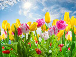 Easy gluten free lamb cur. Flower Wali Clips Dikhyae 10 Easy Diy Ways To Create Art For Your Walls Diy To Make