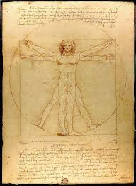 Leonardo da vinci era gay? Dataviz History Leonardo Da Vinci S Vitruvian Man Michael Sandberg S Data Visualization Blog