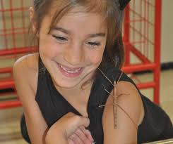 SCSD Superintendent (@SCSD_SUPT)