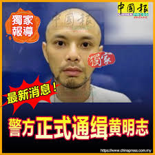 最近是榴莲大丰收的季节？ 听说最近价格会便宜？ 真的吗？ 你有听说？ #Durian #榴莲#有人吗