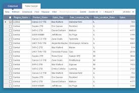Pivot Table Reports Caspio Online Help