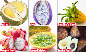 We did not find results for: Bizarre Fruit From Around The World That You Ve Never Heard Of Daily Mail Online