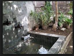 Gurame adalah salah satu jenis ikan yang cukup populer dikalangan masyarakat indonesia. Cara Terlengkap Membuat Kolam Ikan