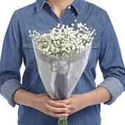 Maybe you would like to learn more about one of these? Flowers Arrangements Shop H E B Everyday Low Prices