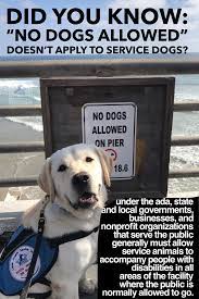 Pin On Service Dog Etiquette