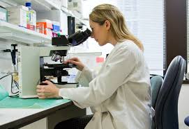 Uffici e servizi per gli studenti. La Figura Professionale Del Tecnico Sanitario Di Laboratorio Biomedico Al Giorno D Oggi Unicamillus