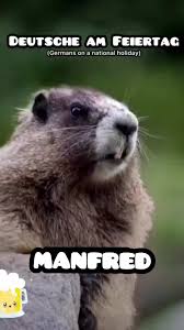 Hilarious German Memes Featuring Manfred