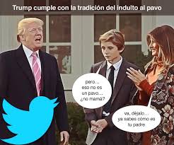 Indulto translation on other language: Indulto Al Pavo Develooping In English