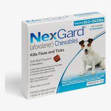 6 Best Tick Treatments For Dogs 2021 The Strategist