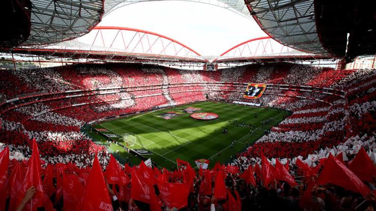 SL Benfica Matchday Experience with Local - Homefans