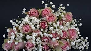 Cheia succesului este sa te concentrezi pe foarte frumoase aceste citate! 350 Felicitari Si Urari Cu La Multi Ani De Sf Constantin Si Elena Vulping