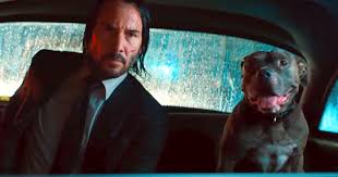 Check out this fantastic collection of john wick wallpapers, with 33 john wick background images for your desktop, phone or tablet. Check Back In With John Wick 3 Taxi Clip And Imax Poster Cosmic Book News
