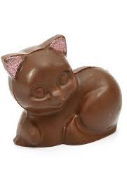 A Chocolate Cat