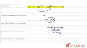We did not find results for: Cell Wall Of Green Algae Made Up Of Youtube