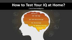 Intellectual Development Graph By Age And Iq : R/Mensa