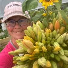 Windy Meadow Acres LLC