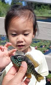 Fishing is fun if you know to catch