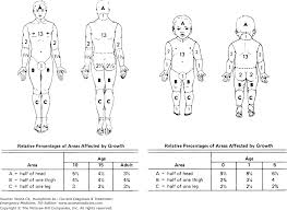 Chapter 45 Burns Smoke Inhalation Current Diagnosis