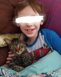 Missing cat in 300 block of south marion st