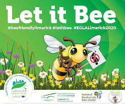 There are 25007 flowers for bees for sale on etsy, and they cost us$ 7.07 on average. Let It Bee Wildflower Meadows For Limerick City All Ireland Pollinator Plan
