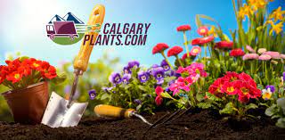 Calgary Plants Online Garden Centre Home Facebook