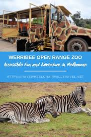 Werribee Open Range Zoo Wheelchair Access Melbourne Have Wheelchair Will Travel Open Range Australia Travel Melbourne Zoo