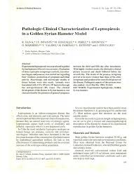 When image size matters, you often have to compromise with quality. Hamster Picture 835 1000 Jpg Hamster Picture 835 1000 Jpg Hamster King By Mikkynga 101 Mln Prosmotrov 2 Mesyaca Nazad Simersons