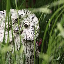 Eine Kleine Eule Im Gras Garten Gartenkeramik Tierskulptur Tiereauskeramik Homeandgarden Gardeninspiration Keramik Pottery Eule In 2020 Owl Animals Bird