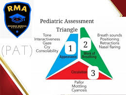 Image result for Pediatric Assessment Triangle