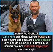 kopek benden zengin 2021 mizah videolari bilgi alintilari gizli bilgi