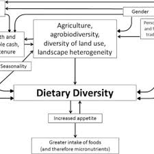 Pdf The Determinants Of Dietary Diversity And Nutrition Ethnonutrition Knowledge Of Local People In The East Usambara Mountains Tanzania
