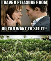 Weed Growing I Have A Pleasure Room Know Your Meme