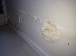 Treating Rising Damp