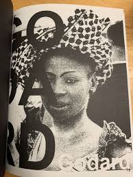 SIGNED Adam Pendleton softcover BLACK DADA: A READER OP 2019