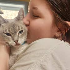 We've got quite a variety of cat colors if you're looking to fill out your  collection. Orange tabby Blue tabby Brown tabby Cream and white Black and  white Dilute tortie Lynx point