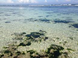 The beaches are either dirty and deserted or packed like the one in kuta. Private Impossible Beach Picture Of Anantara Uluwatu Bali Resort Tripadvisor