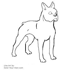 Boston Terrier Dog Coloring Page Dog Line Art Dog Coloring Page Puppy Coloring Pages