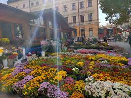 Lviv City Ukraine Medical University University Medical