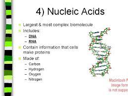 Deoxyribonucleic acid (dna) fact sheet deoxyribonucleic acid (dna) is a molecule that contains the biological instructions that make each species unique. Biomolecules Click The Green Light To Move Forward